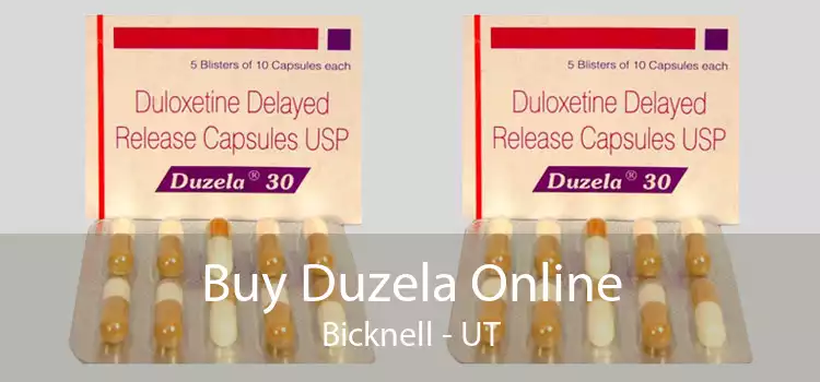 Buy Duzela Online Bicknell - UT